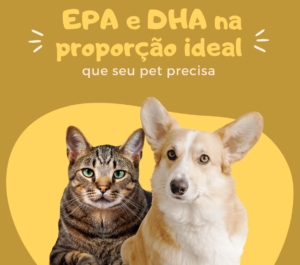 Como Dar Ômega 3 para Pets (Gato e Cachorro)